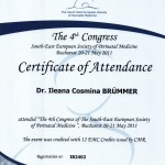 Dr. Cosmina Brummer