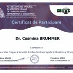 Dr. Cosmina Brummer